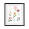 Stupell Industries Labeled Flower Varieties Framed Print Under Glass, design by Lucille Price